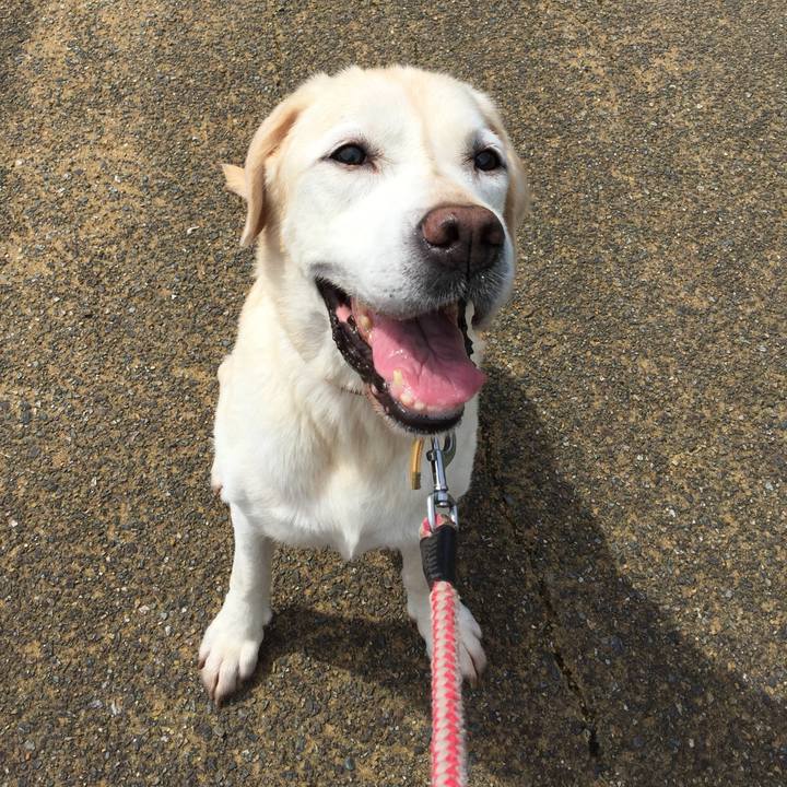 724ce8e3 7907 44ad aad4 0cb28cb90e76 1535859749074