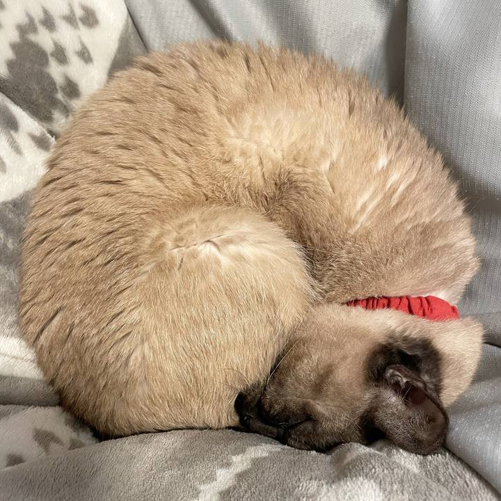 724cf4ef 1fc7 4826 9698 23f40093ae9e 1771044913214