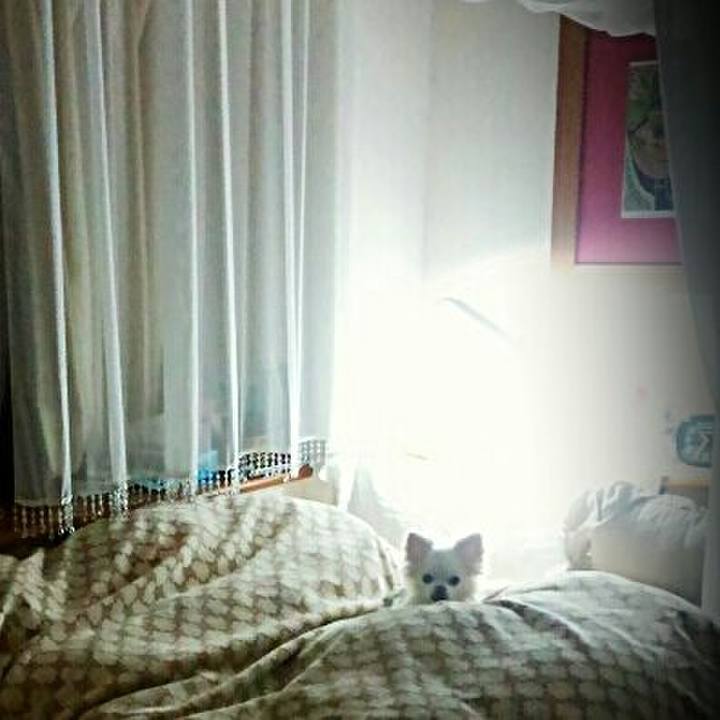 724d2e6e c2f0 4b5e 825a aa50ea890cab 1521581108342