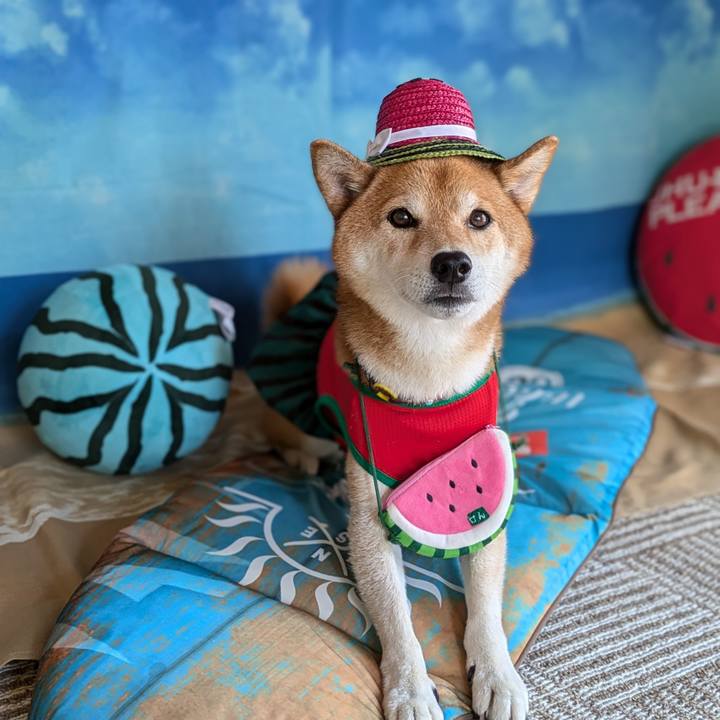 724d4213 976f 4acb 8b51 520410d7efad 1721731186665