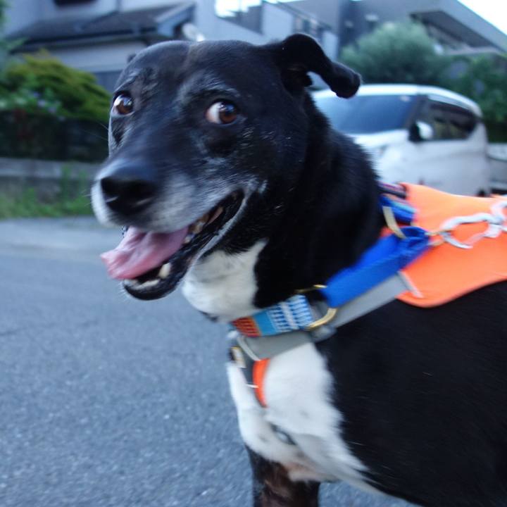 724d5ff7 fe13 4eb9 bf35 8909aae34689 1749040016985