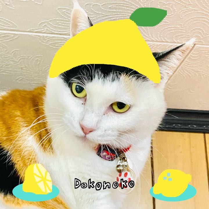 724d6fa2 452a 4ff8 bd7e 9136ebccde73 1741057671173