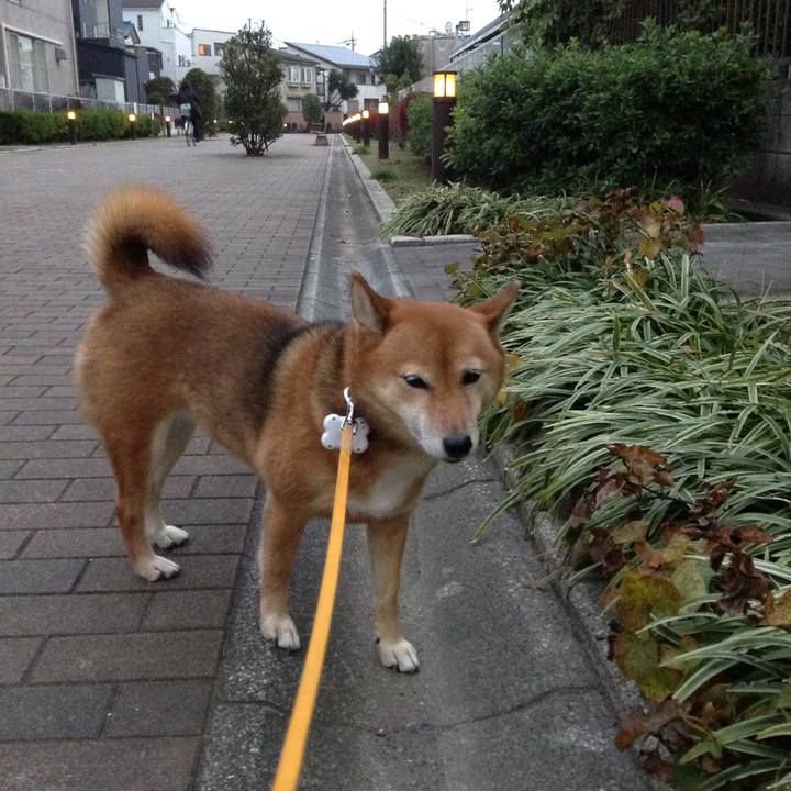 724db530 3e45 4f13 9546 00598a942018 1511343233637