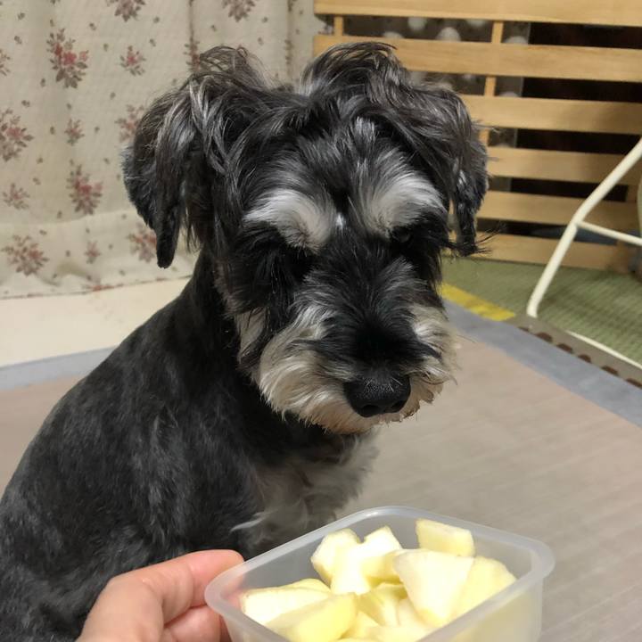 724dbcda c87d 4240 9f11 227ffd7540dc 1632829854629