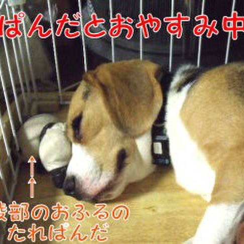 724dd458 1604 47c3 849b d256bb67596a 1693528427832