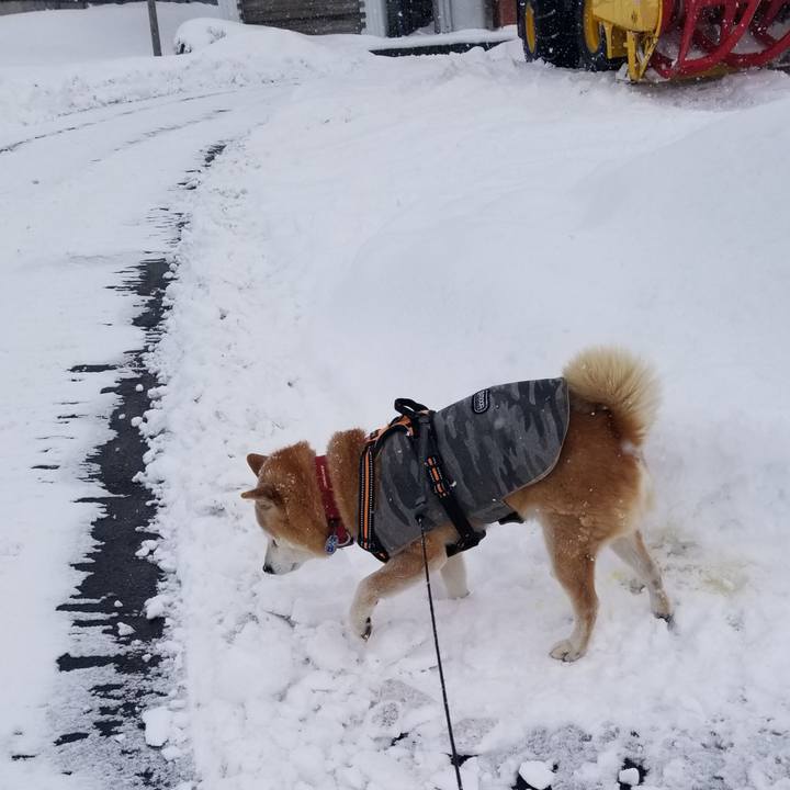 724dda6a 92cc 45bd a1db 8036b734095b 1736479901519