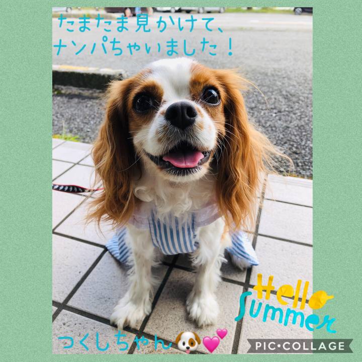 724e4837 7ef2 4655 9c9e 41b3ed6790bc 1599282176089