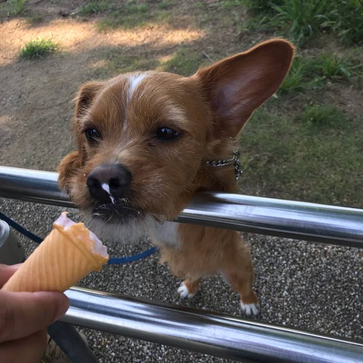 724e581b ba92 4751 981e fc9f9d74628f 1557729958458