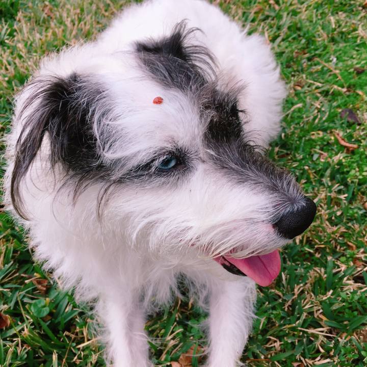 724e7418 cd56 4943 ad4f 76e8269e0c6c 1547590740588