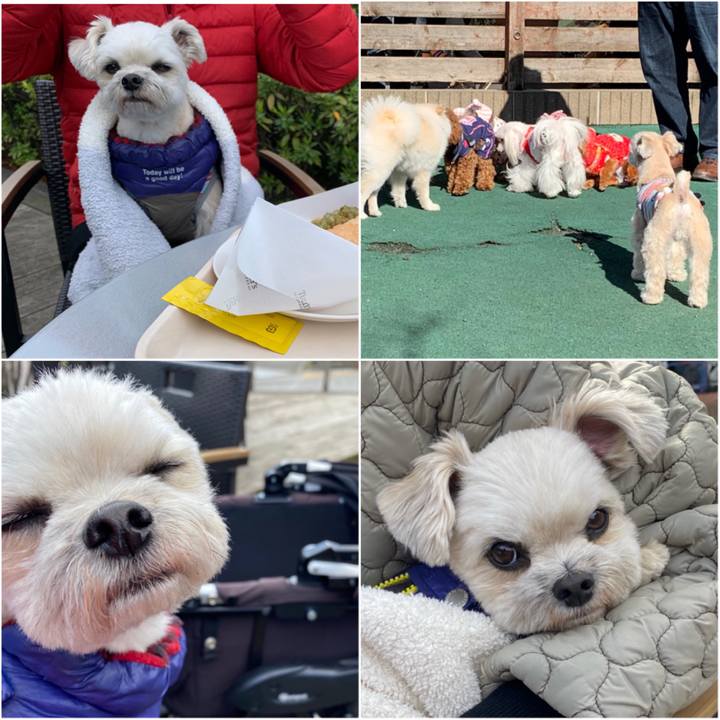 724f030b 5343 43ce b58f 5a7481022385 1584262823408