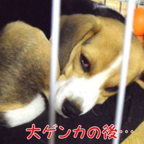 724f0956 a6d5 4e82 a263 82c6ba4c5a02 1680572876862