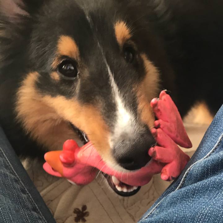 724f1f95 11de 4a41 b6b7 b613bfbc3329 1533683606228