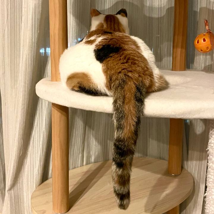 724f3e8d fb4a 4e04 a3a3 5674b9f833cc 1726582281316