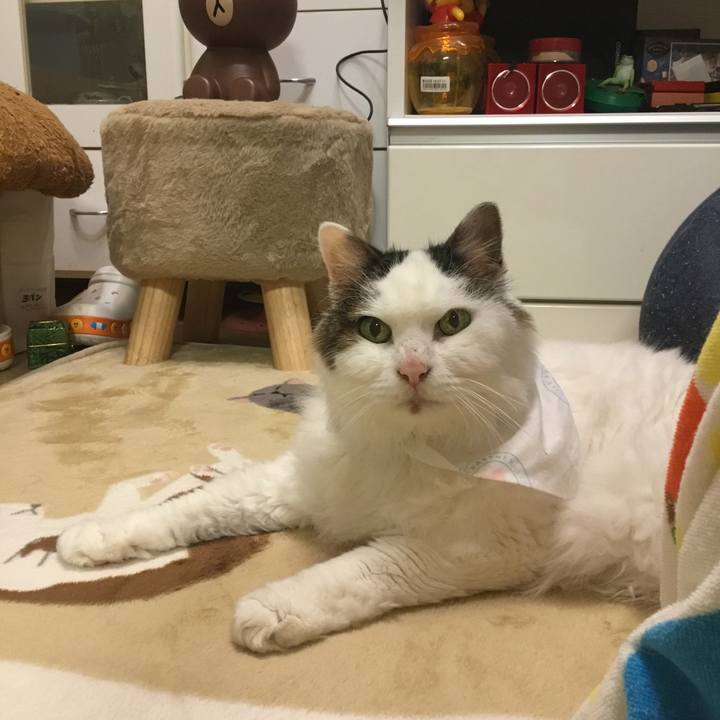 724f4710 90bd 4fec 8b1f eb372dc9e0d7 1576773056541