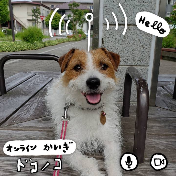 724f4c38 aa3e 4fd2 bcbd 06ed52f0c9a3 1590723381740