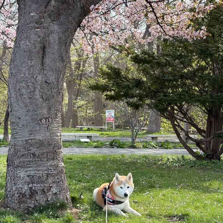 724f515a 5134 40a9 b9d5 ac1f1145f412 1777290016522