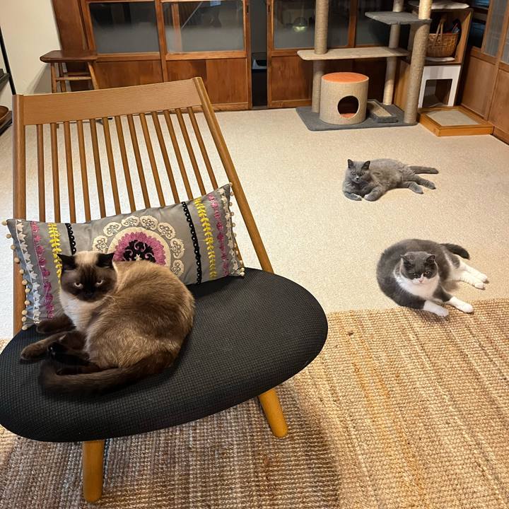 724f52b6 860e 45ed a044 a1039525d2ac 1660356835749