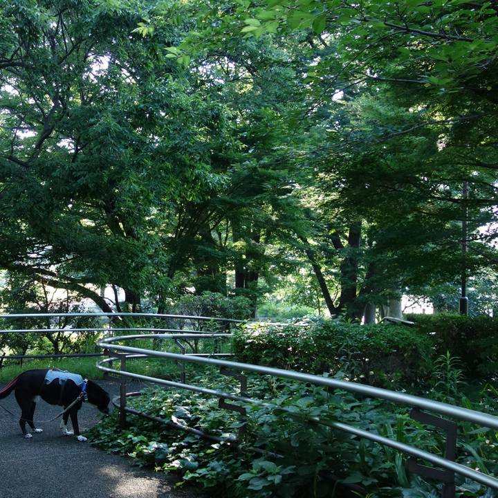 724f55d9 5a3d 40e5 b459 64ca937fb413 1750118219548