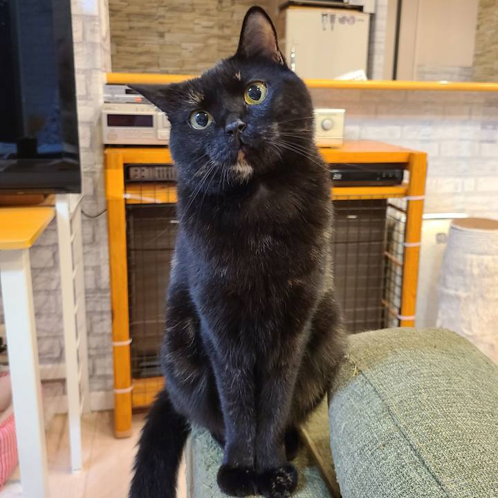 724f5989 ff34 4690 9c55 9d0bb25e3aeb 1656256214849