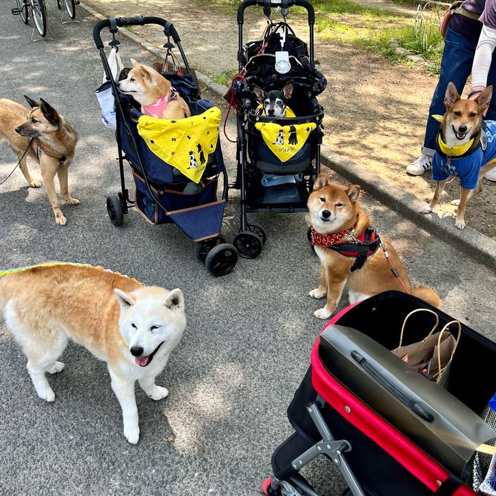 724fa310 7545 47da 96b6 ba4d403f9538 1650702772546