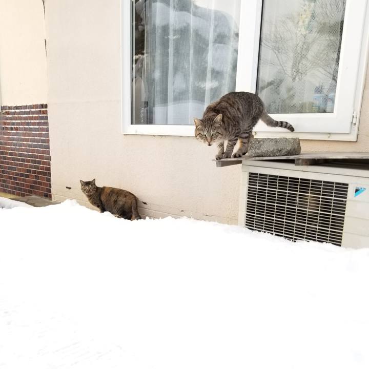 724fbfba 193b 49df a470 5e9629887299 1673705248845