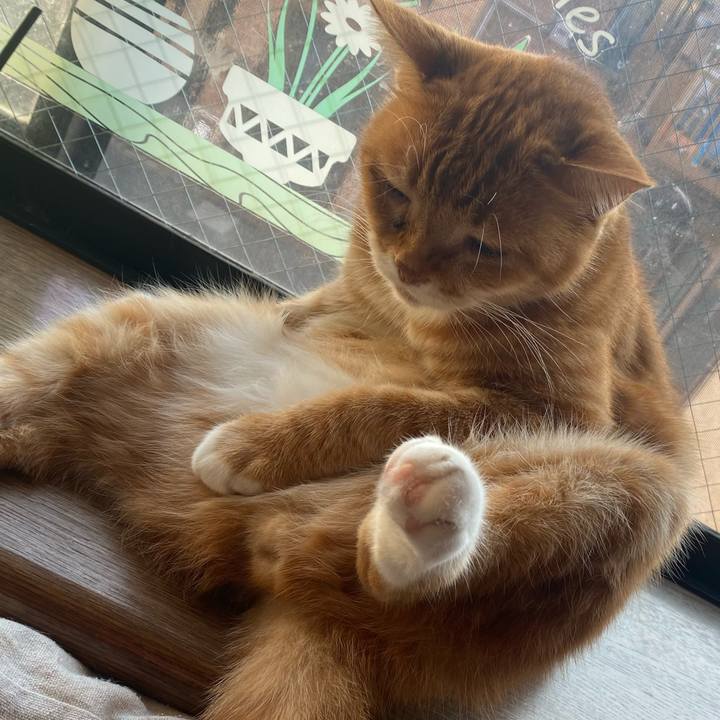 724fd96c d2a4 45be 9926 2e3efd337320 1635401024689