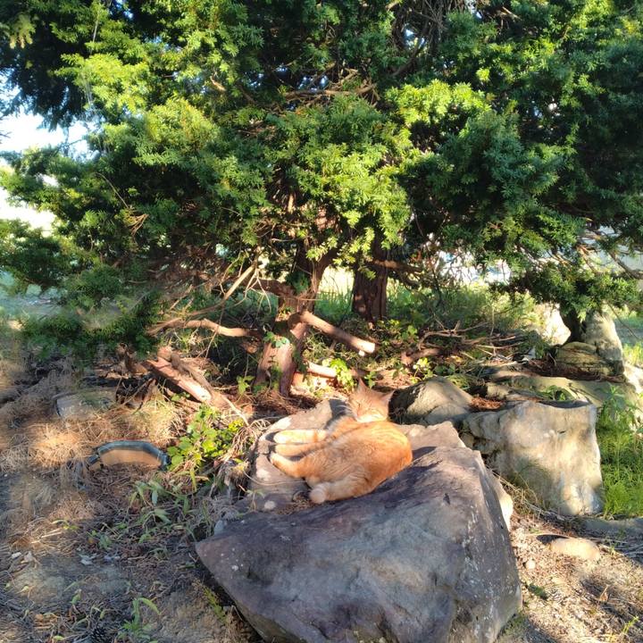 725015f1 b97a 425e 9d82 da75649a156c 1691620871366