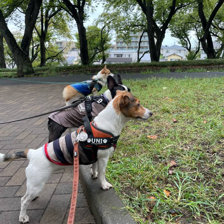 7250440a 2c67 488b 927b fa306a28ec21 1695381410297