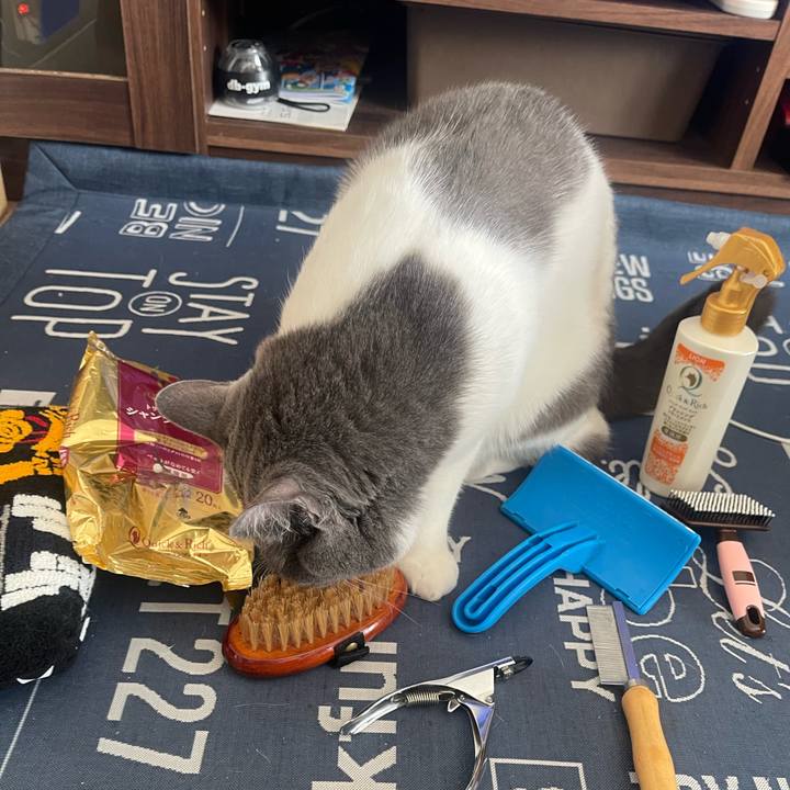 725045a2 c0cf 4ca3 870c e2aada9ce6bf 1699146269150