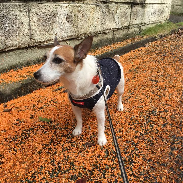 7250513f ff09 41c8 9635 96807927c4c7 1602390237058