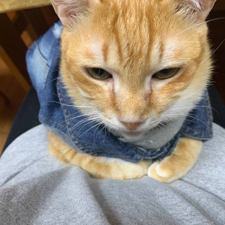 72506257 04c9 4c51 be0b d50c18d3c099 1645444330788