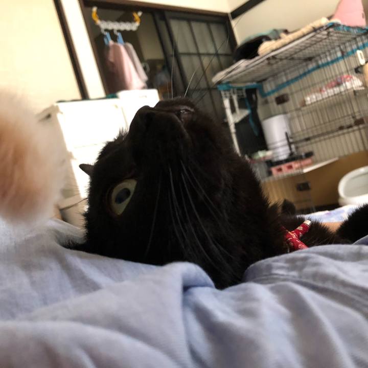 72507211 3873 48dc a619 4e533c05d15d 1628988822181