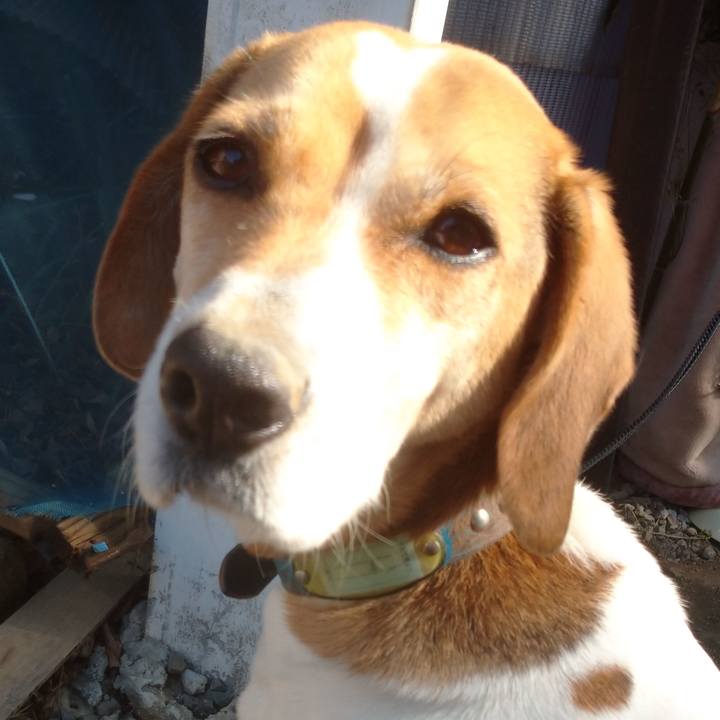 725082d4 f90b 4faf 9aa7 fe7e2ba91ffa 1612577336351