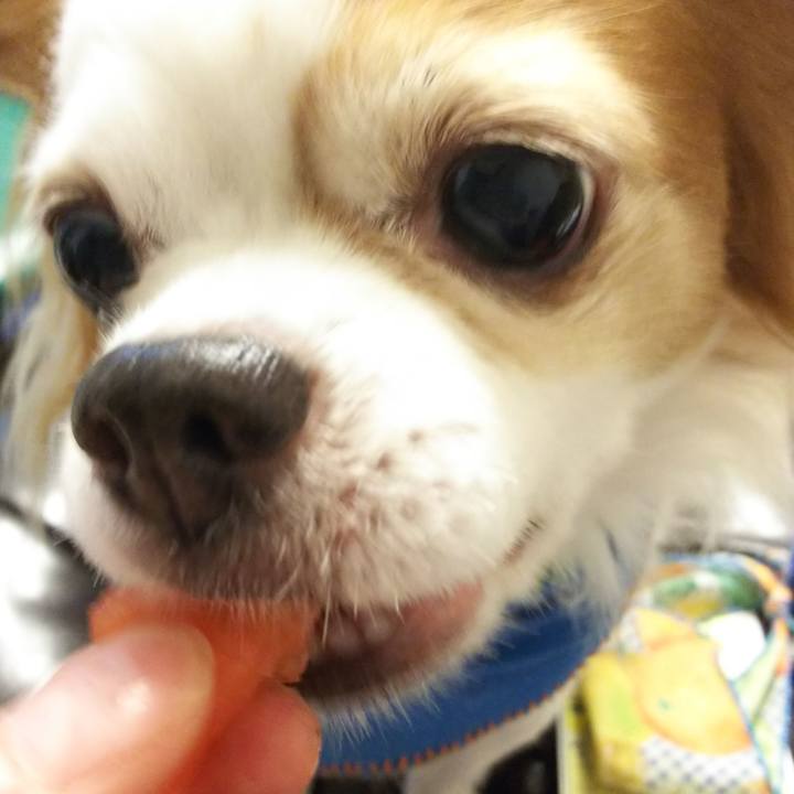 7250965f f9e4 4b3f ab91 398dd5739485 1686701508567