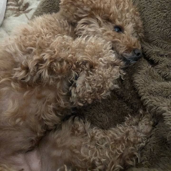 7250a016 6384 4e26 9079 1eafd5ec2805 1585626505359