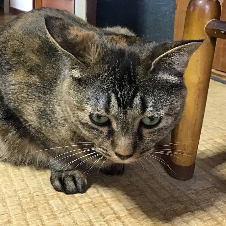 7250a613 ca36 4ee6 81ee be7853d99149 1722854259034