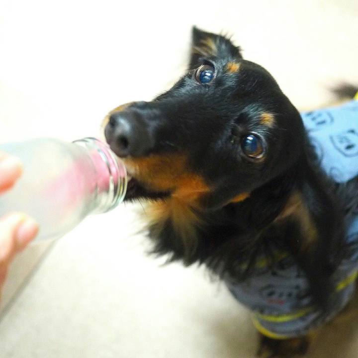 7250dceb c89e 42c2 af1f f6013ffa566d 1515586772939