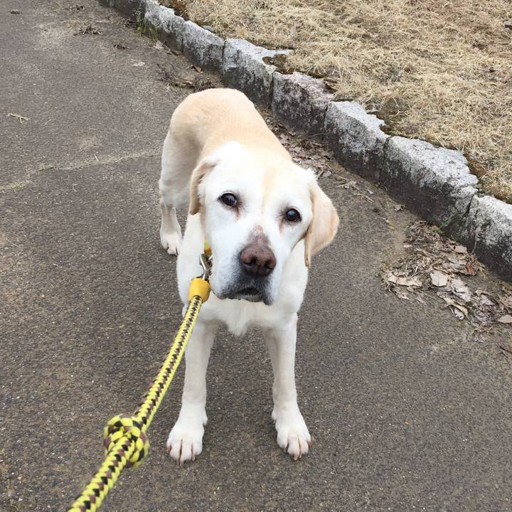 7250fdd8 1904 45ae 9ee0 68096ca1d517 1527040366472