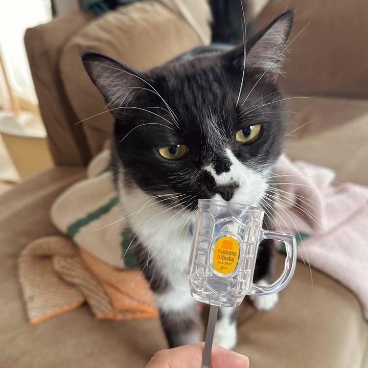 72510464 1477 45db 8ed0 3a530942aa7c 1769921788846