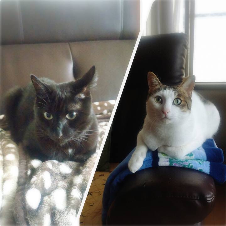 725115ee 9e6e 4b9c af23 cffb46045076 1758413824877