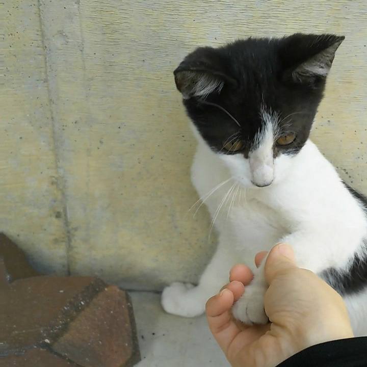 7251770e d7f5 49de a39c 3aeeb5832336 1532433289790