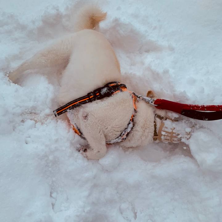 725181e6 d994 489f 9d19 8c60cc127a25 1670798733093