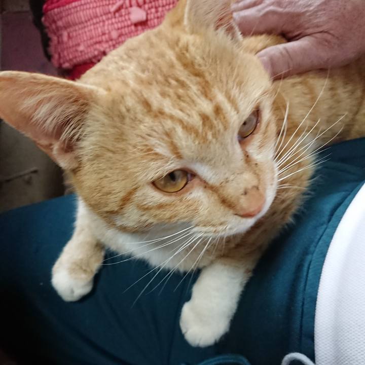 7251e4e1 a286 421e 87e9 326ece6d3aad 1555208869358