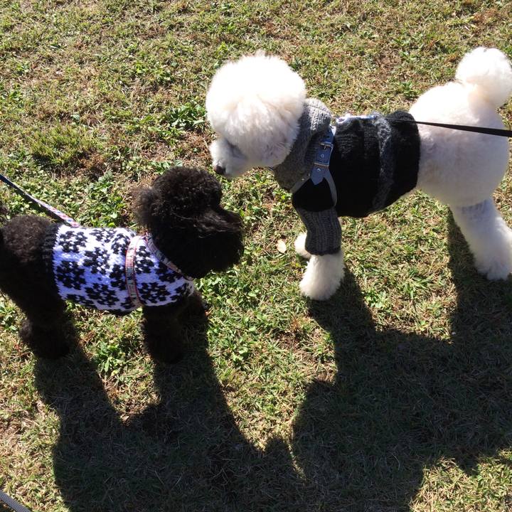 7251e7c8 a049 4735 816e c44de9372109 1542264738731