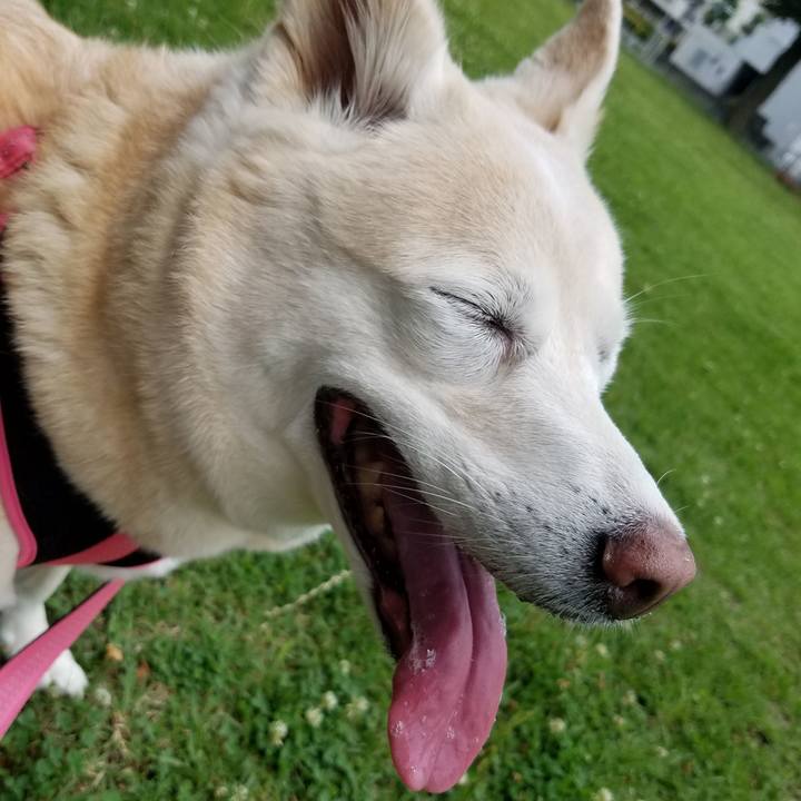 7251ff87 3455 470c 8e6e 57d1d550ea45 1592282119147