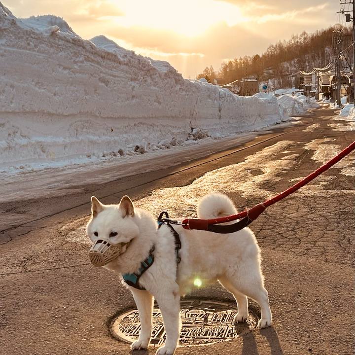 72520550 7a3e 431b adb5 34f303cd70e0 1772412317910