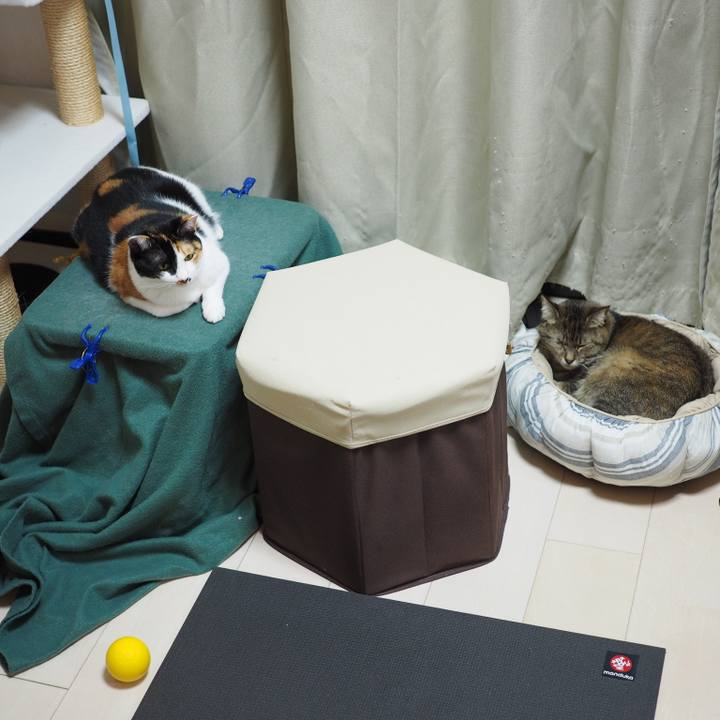 7252182f 3d09 4ca7 b170 f8a82e343261 1512874592415