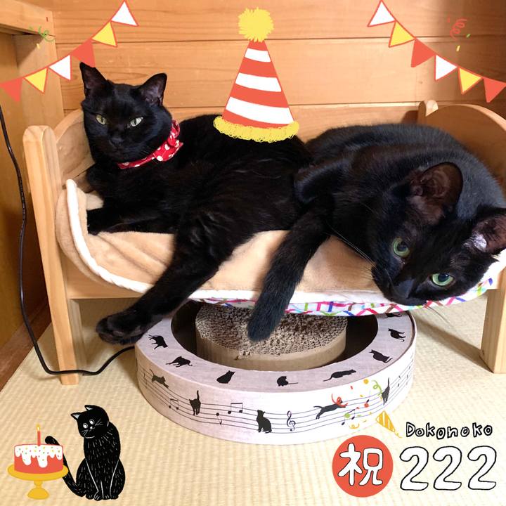 72523f29 9669 48f5 8ea9 fa6e06e8c205 1645490925496