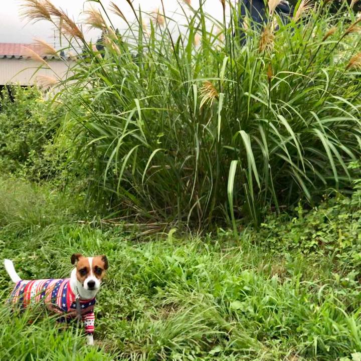 72525924 56d5 4180 99d7 017e2b973584 1566652747570