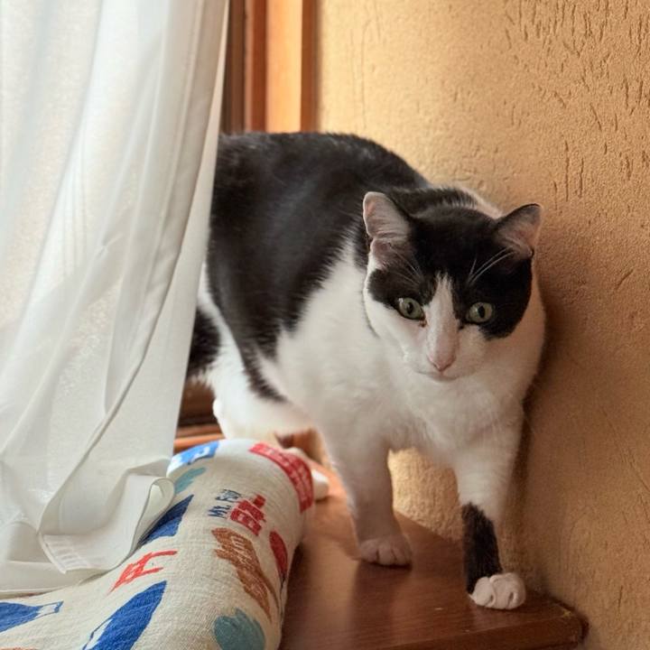 72525950 2bb4 44aa bb45 d0c59c4abf06 1751593842443